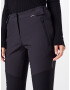 ICEPEAK Pantaloni outdoor 'DORAL' gri metalic / gri grafit - Pled.ro