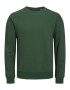 JACK & JONES Bluză de molton 'Star' verde - Pled.ro