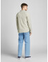 JACK & JONES Cămașă 'TONS' verde pastel / alb - Pled.ro