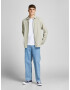 JACK & JONES Cămașă 'TONS' verde pastel / alb - Pled.ro