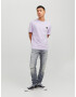 JACK & JONES Jeans 'Liam' gri denim - Pled.ro