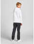 Jack & Jones Junior Bluză de molton albastru marin / roșu / negru / alb - Pled.ro