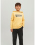 Jack & Jones Junior Bluză de molton galben / gri / alb - Pled.ro