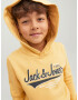 Jack & Jones Junior Bluză de molton galben / gri / alb - Pled.ro