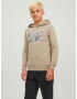 Jack & Jones Junior Bluză de molton 'Tech' bej închis / bleumarin / albastru deschis - Pled.ro