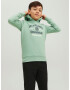 Jack & Jones Junior Bluză de molton albastru noapte / verde pastel / alb - Pled.ro