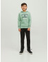 Jack & Jones Junior Bluză de molton albastru noapte / verde pastel / alb - Pled.ro