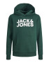 Jack & Jones Junior Bluză de molton verde pin / alb - Pled.ro