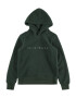 Jack & Jones Junior Pulover 'COPENHAGEN' verde închis / alb - Pled.ro