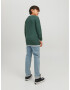 Jack & Jones Junior Pulover 'WINN' verde închis / alb - Pled.ro