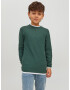 Jack & Jones Junior Pulover 'WINN' verde închis / alb - Pled.ro