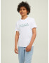 Jack & Jones Junior Tricou 'Brink' verde smarald / negru / alb - Pled.ro