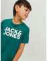 Jack & Jones Junior Tricou 'Ecorp' verde / alb - Pled.ro