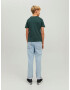 Jack & Jones Junior Tricou 'ECORP' verde pin / alb - Pled.ro