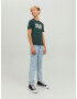 Jack & Jones Junior Tricou 'ECORP' verde pin / alb - Pled.ro