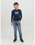 Jack & Jones Junior Tricou 'Hunt' albastru noapte / albastru deschis / gri / alb - Pled.ro