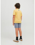 Jack & Jones Junior Tricou 'NEO' albastru porumbel / galben muștar - Pled.ro