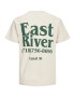 Jack & Jones Junior Tricou 'Riverside' gri deschis / verde închis - Pled.ro