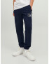 JACK & JONES Pantaloni bleumarin / roșu rodie / sângeriu / alb - Pled.ro