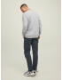 JACK & JONES Pantaloni cu buzunare 'Ace Tucker' gri bazalt - Pled.ro