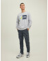 JACK & JONES Pantaloni cu buzunare 'Ace Tucker' gri bazalt - Pled.ro