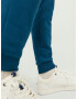 JACK & JONES Pantaloni 'Gordon' albastru - Pled.ro