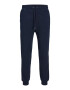 JACK & JONES Pantaloni 'Gordon Bradley' bleumarin - Pled.ro