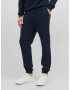 JACK & JONES Pantaloni 'Gordon Bradley' bleumarin - Pled.ro