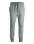 JACK & JONES Pantaloni 'Gordon Lane' verde mentă - Pled.ro