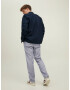 JACK & JONES Pantaloni 'KANE' albastru porumbel - Pled.ro