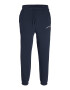 JACK & JONES Pantaloni 'KANE BRINK' bleumarin / roșu carmin / alb - Pled.ro