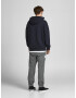 JACK & JONES Pantaloni 'Kane' gri închis - Pled.ro