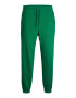 JACK & JONES Pantaloni 'Kane' verde - Pled.ro