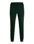 JACK & JONES Pantaloni 'WILL' verde pin - Pled.ro