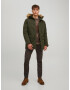 JACK & JONES Parka de iarnă 'Winner' maro deschis / verde pin - Pled.ro