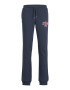 Jack & Jones Plus Pantaloni 'GORDON' bleumarin / mai multe culori - Pled.ro