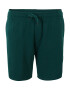 Jack & Jones Plus Pantaloni verde smarald / portocaliu mandarină - Pled.ro