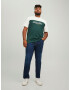 Jack & Jones Plus Tricou galben / verde pin / alb - Pled.ro