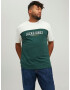 Jack & Jones Plus Tricou galben / verde pin / alb - Pled.ro