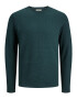 JACK & JONES Pulover 'BLUMIGUEL' verde pin - Pled.ro