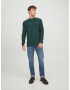 JACK & JONES Pulover 'BLUROY' verde închis / roșu / alb - Pled.ro