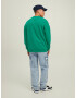 JACK & JONES Pulover 'Brink' bleumarin / verde / alb - Pled.ro