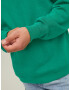 JACK & JONES Pulover 'Brink' bleumarin / verde / alb - Pled.ro