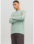 JACK & JONES Pulover 'Gustav' verde deschis - Pled.ro