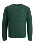 JACK & JONES Pulover 'Paul Tons' verde închis / alb - Pled.ro