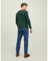 JACK & JONES Pulover 'Paul Tons' verde închis / alb - Pled.ro