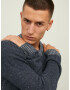 JACK & JONES Pulover 'WILLOW' bleumarin / gri deschis - Pled.ro