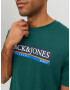 JACK & JONES Tricou 'Codyy' azuriu / verde smarald / alb - Pled.ro