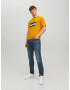 JACK & JONES Tricou 'CODYY' portocaliu / negru / alb - Pled.ro