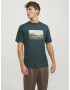 JACK & JONES Tricou 'HAYS' albastru deschis / verde închis / alb - Pled.ro